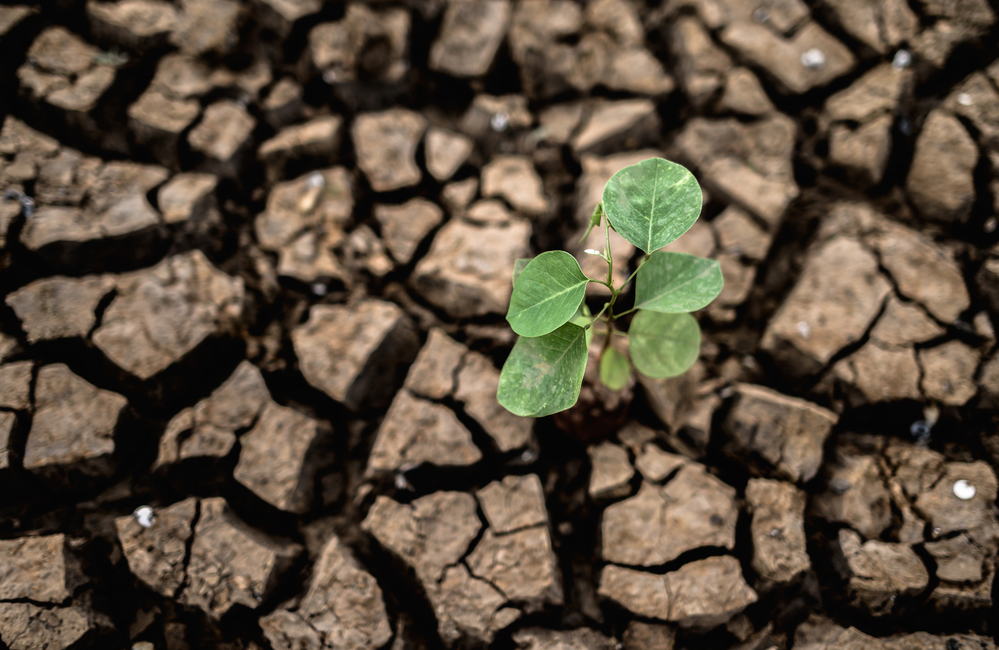 Release of sixth assessment report on climate change mitigation welcomed