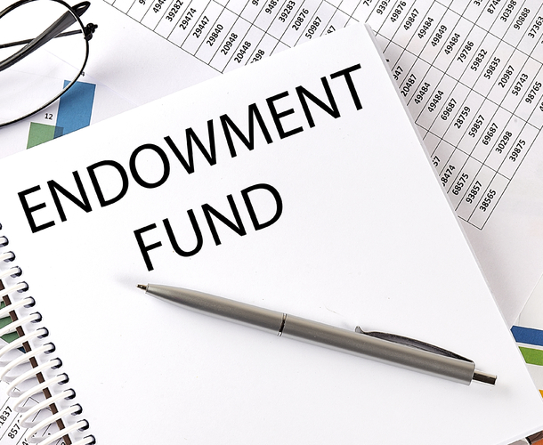 The basic features and key benefits of an endowment