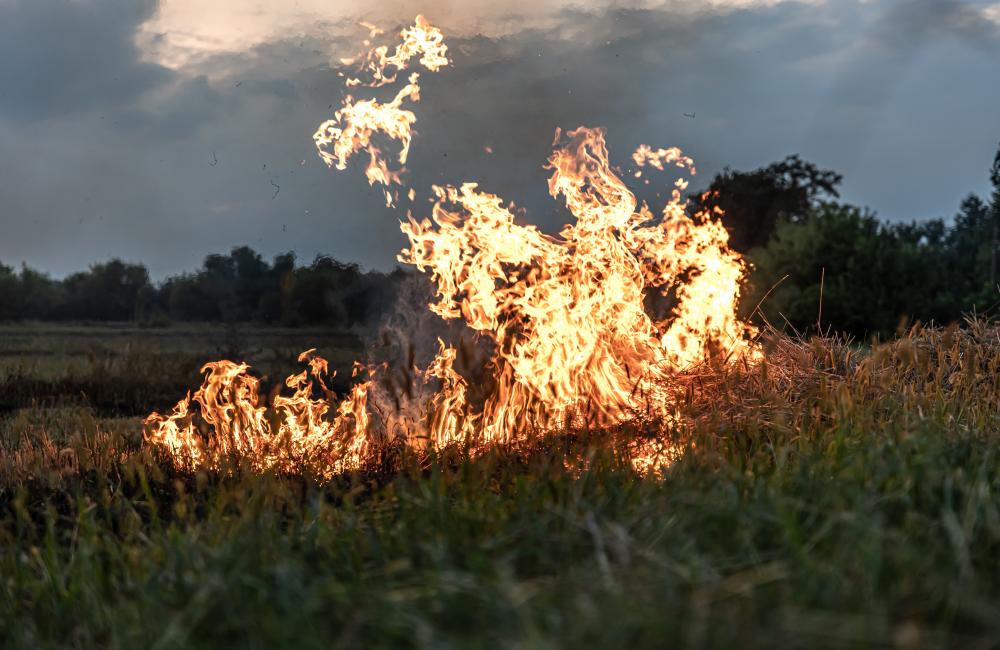 Tips to help you prepare for the Western Cape summer fire season