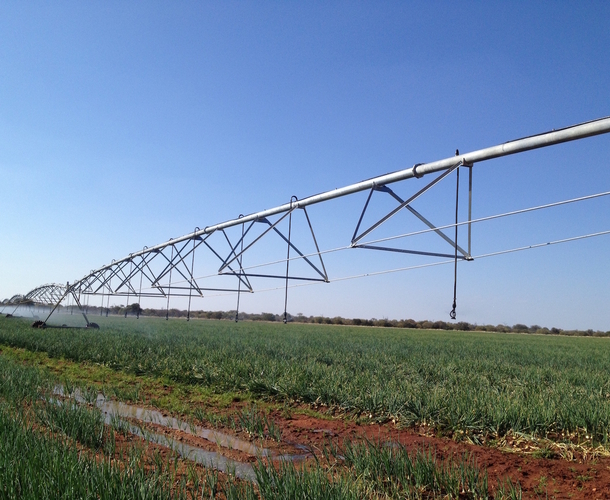 Santam rears next generation of agricultural leaders