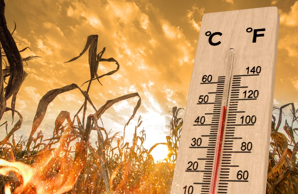Parametric insurance provides a smarter safety net for SA's climate reality