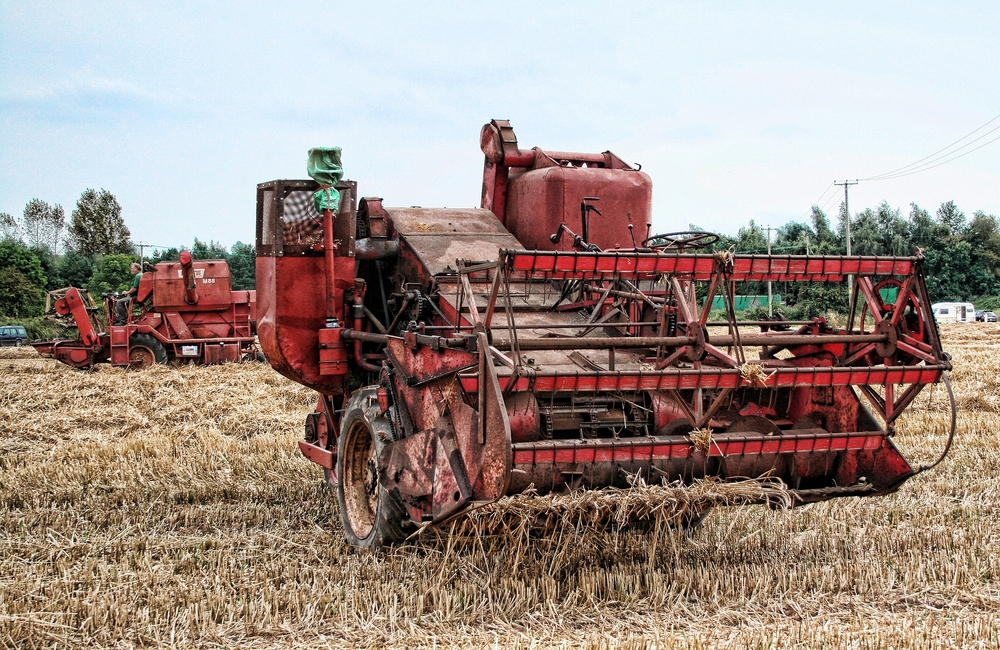 Demand for food in SA increasing substantially