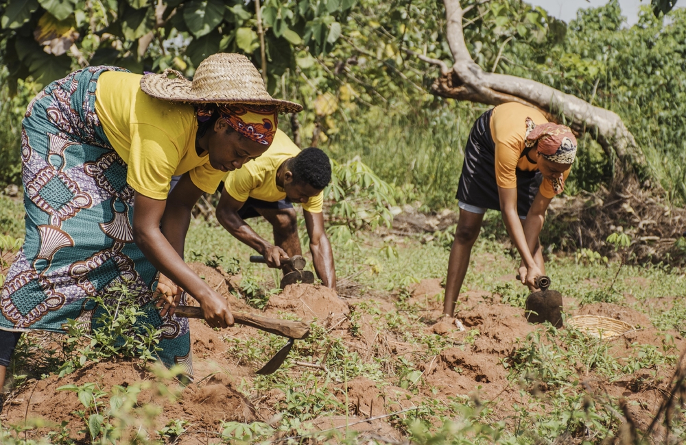 Protecting Farmers from Climate Change Risk in Fiji: SCOR