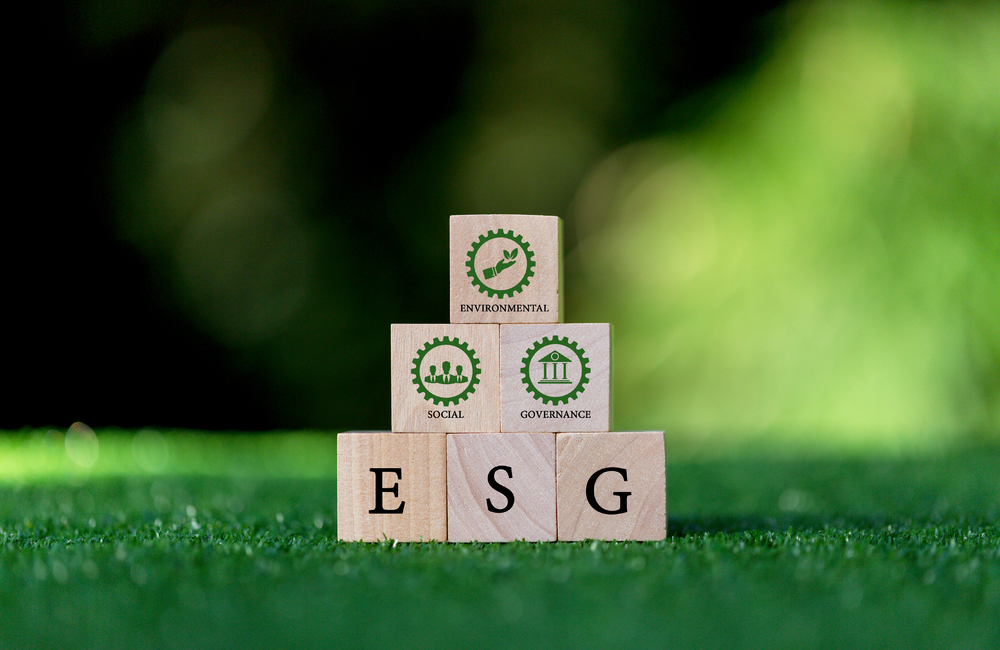 Is South Africa uniquely set up for socially responsible investing?