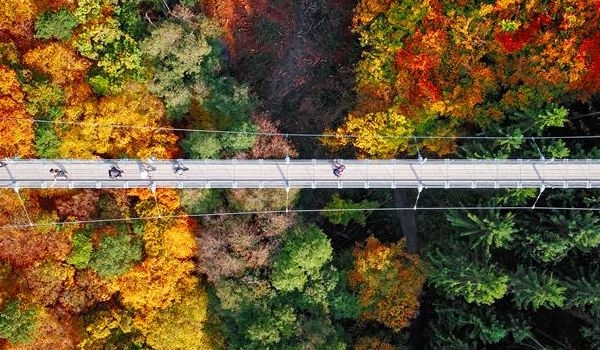 IAIS publishes its Roadmap 2026-2027