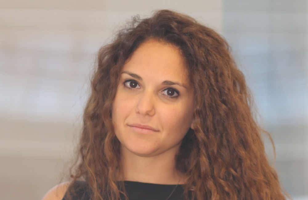 Irene Lauro | Minister’s renewables tax break for business and the green subsidy race