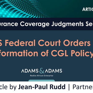 Jean-Paul Rudd | US insurance ruling raises timely lessons for SA’s insurance sector