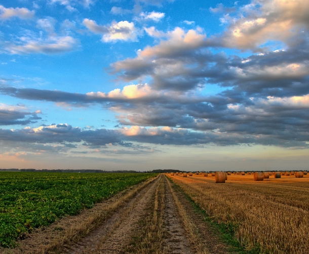 SA’s agriculture emerges as a viable African asset