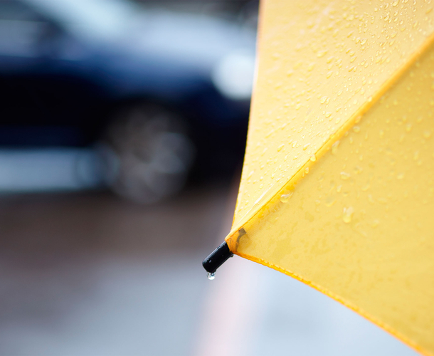 Santam scoops top spots as global environmental