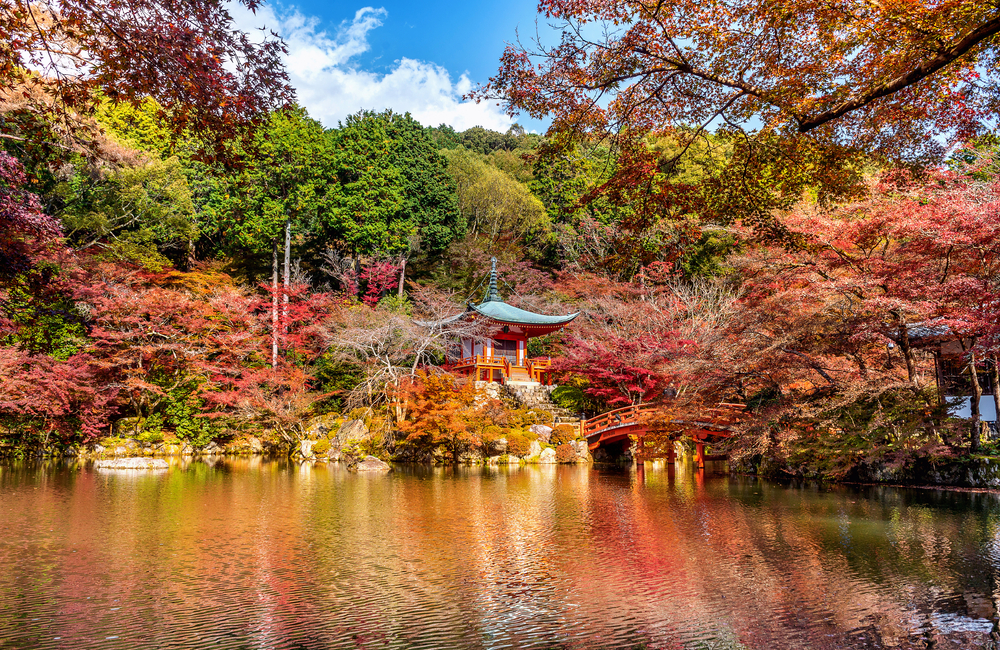 Systemic Risk: what Ueno Park reveals about climate stress in Asian cities