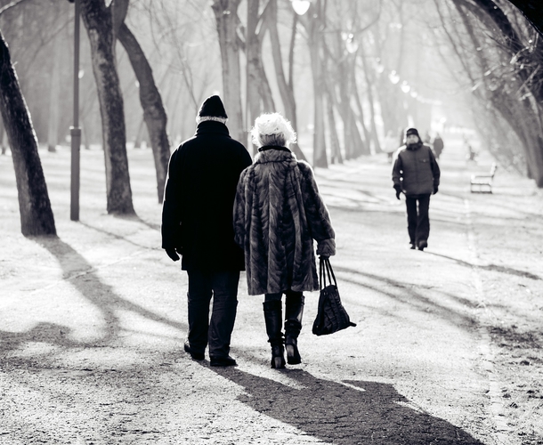 Non-payment of pension contributions